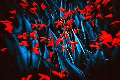 《永劫无间》与《拳皇》联动即将开始 不知火舞登场